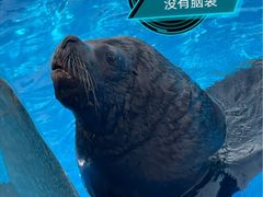 -上海海昌海洋公园
