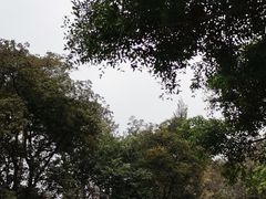 -桃花涧