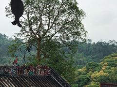 -国恩寺
