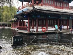 -百脉泉景区