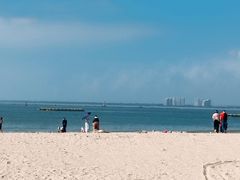 -东郊椰林