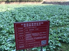 -韶山毛泽东同志故居