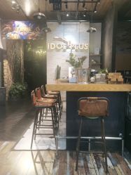 -IDOL-PLUS