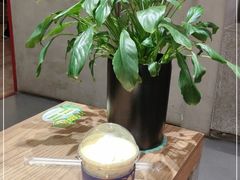 -1828王老吉·草本新茶(珠江新城地铁站店)