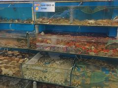 -仙螺岛海鲜自助餐厅(总店)
