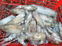 -龙溪海鲜酒家(溪涌店)