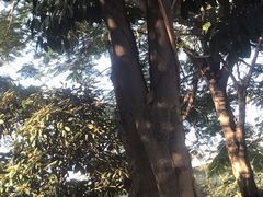 -江头公园