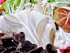 -额尔敦传统涮(公园西路店)