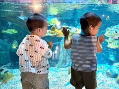 -合肥海洋世界