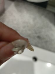 -瞧·享轻奢美甲美睫