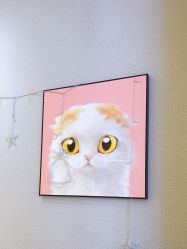 -洗脸猫·洗脸吧