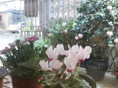 -隅cafe(傅厚岗店)