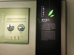 -中国茶叶博物馆(双峰馆区)