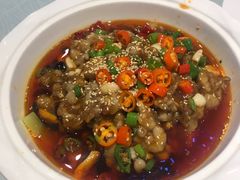 -金蝉食府(维吉奥广场店)