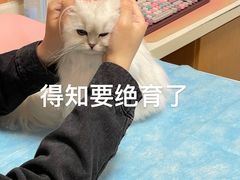 -宠福鑫动物医院(城北分院)