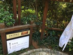 -天目湖涵田半山温泉