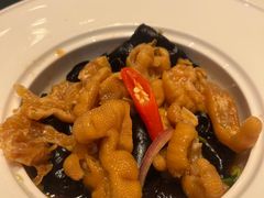 -金汇酒楼(中山东区店)