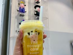 -一只酸奶牛(八一路店)