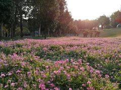 -福建鲤鱼洲酒店
