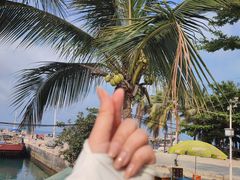 -三亚西岛海洋文化旅游区