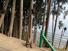 -太阳湾风景区