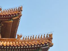 -故宫博物院(故宫)