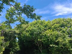 -三亚蜈支洲岛旅游区