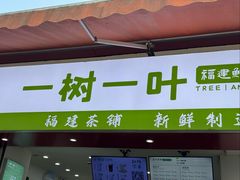 -一树一叶·福建茶档(石鼓路店)