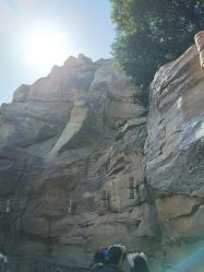 -翱翔飞越地平线