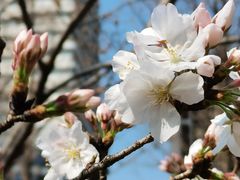 -新天地活力PARK