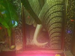 -Siam泰餐厅(水上公园店)