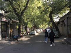 -北京国子监胡同