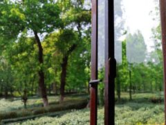 -野蔓果·山野菜(西湖景区·龙井茶田店)