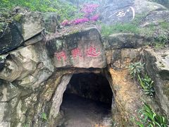 -大金鹰园