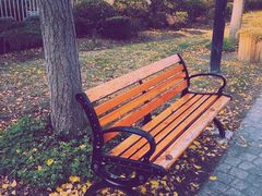 -碧云新天地二期