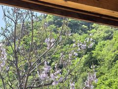 -狼牙山风景区