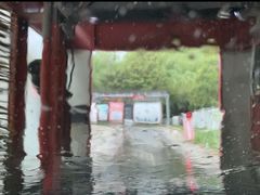 -名骏车业(园区星明店)