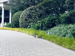 -静安公园(静安寺街道)