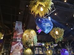 -胡桃里音乐酒馆(石家庄店)