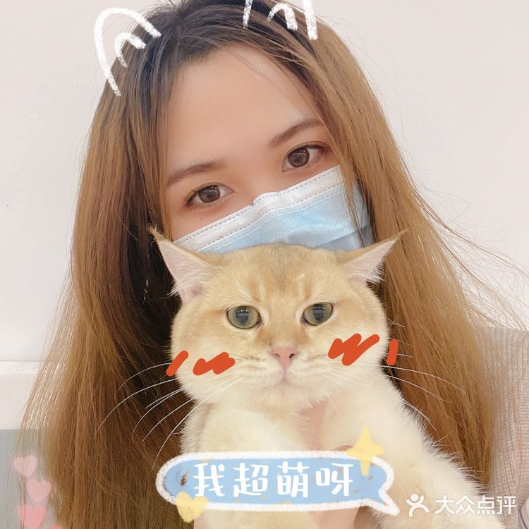 广州这里买猫最靠谱!ONLY CAT唯有猫名猫馆