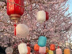 -春风习习