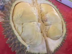 -都念榴莲·城市榴莲