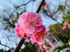 -棒棰岛宾馆景区
