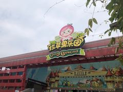 -杭州烂苹果乐园