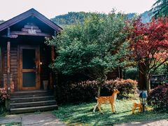 -宁波余姚老柿林山居度假村
