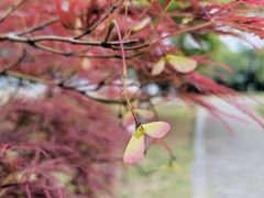 -白塘生态植物园