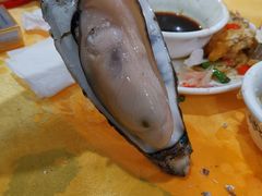 -蚝专家(北滘店)