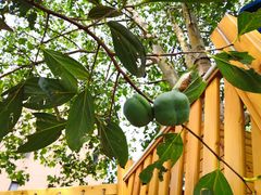 -吉而慧幼儿园-原红黄蓝幼儿园(世华水岸园)