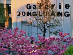 -深圳湾万象城(南山店)