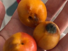 -鲜力达果品批发直销(汇金店)